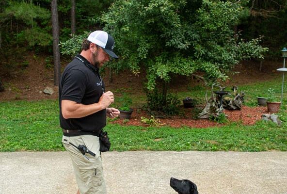The-Grove-Dog-Training-and-Obedience-24